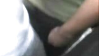 Culotte