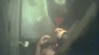 Crime et châtiment video porno français d'une belle blonde